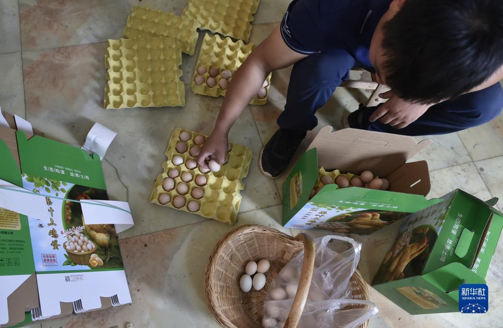 线上捕鱼王技巧